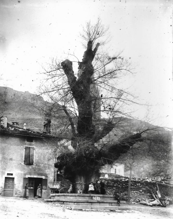 Photo orme 1903